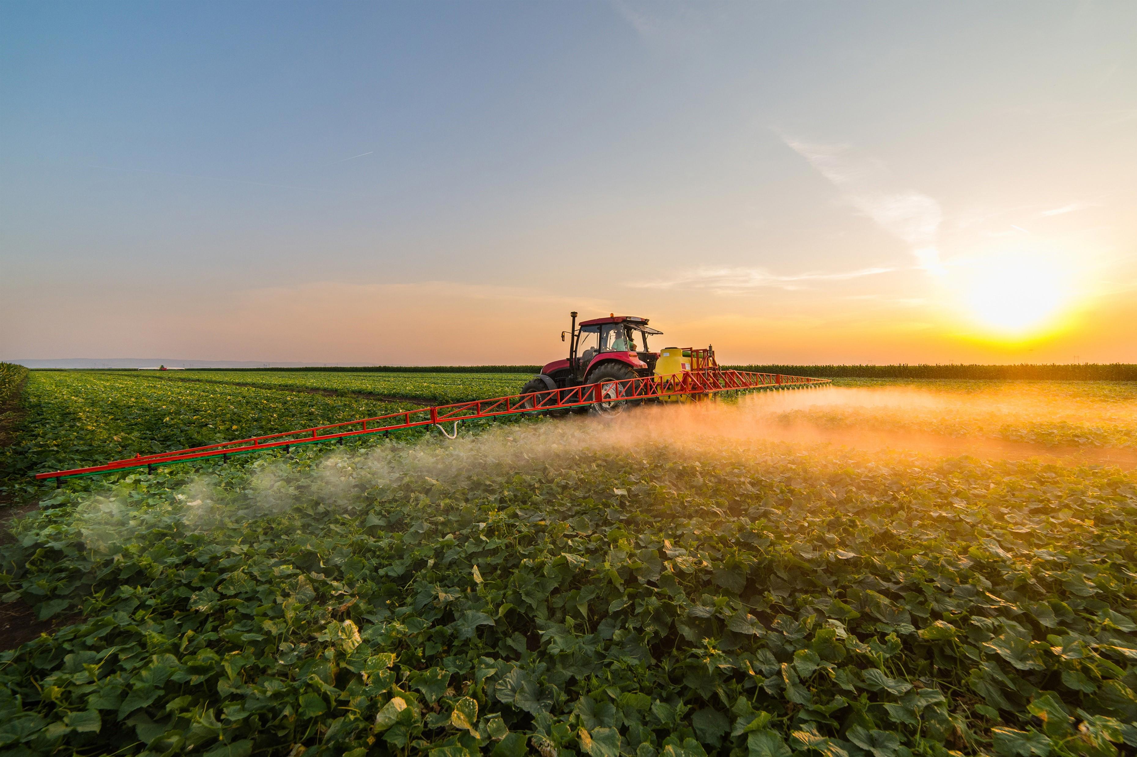 A tractor equipped with a sprayer moves through a vast, green agricultural field at sunset. The sprayer releases a mist over the lush crops. The sky is clear with the sun low on the horizon, casting a warm golden light over the scene.