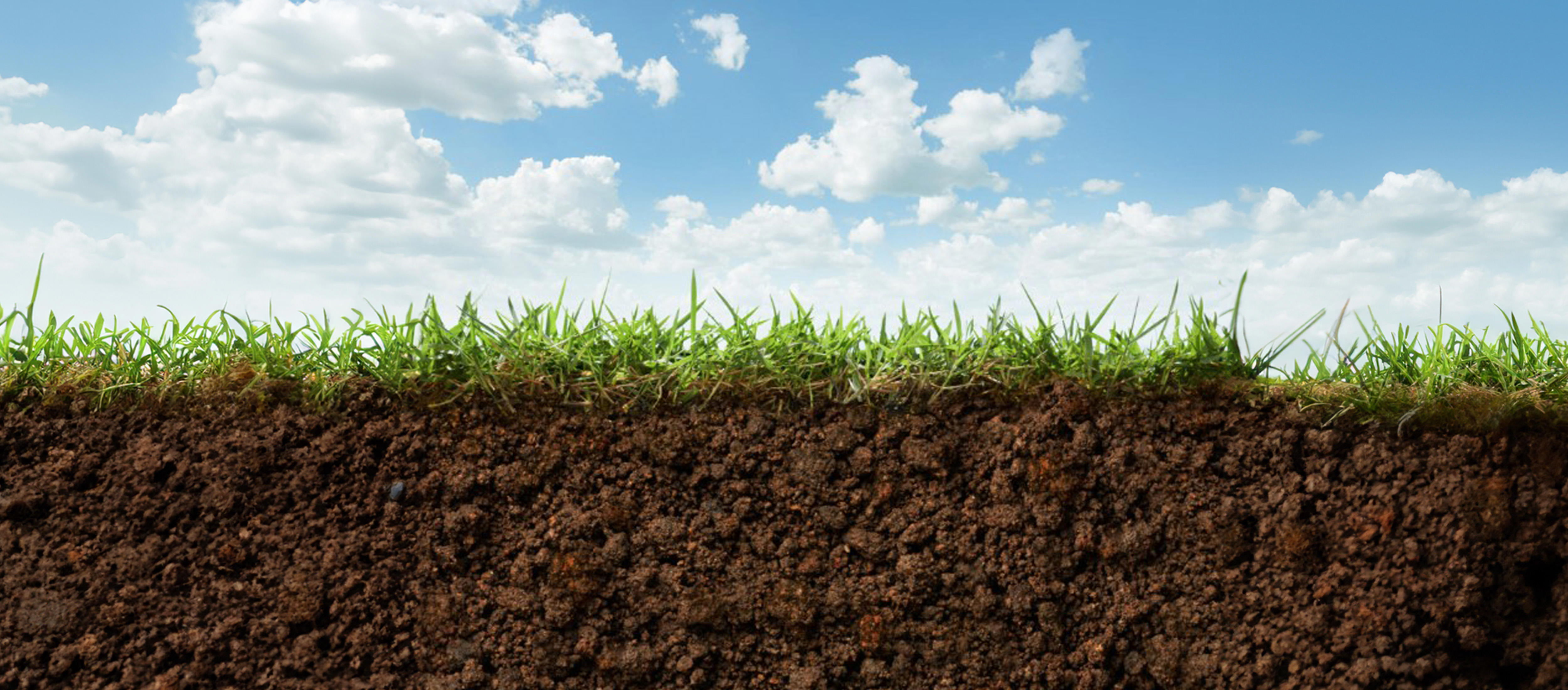 grass-and-soil-new