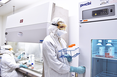 cell-bank-regulaory-spring-2024