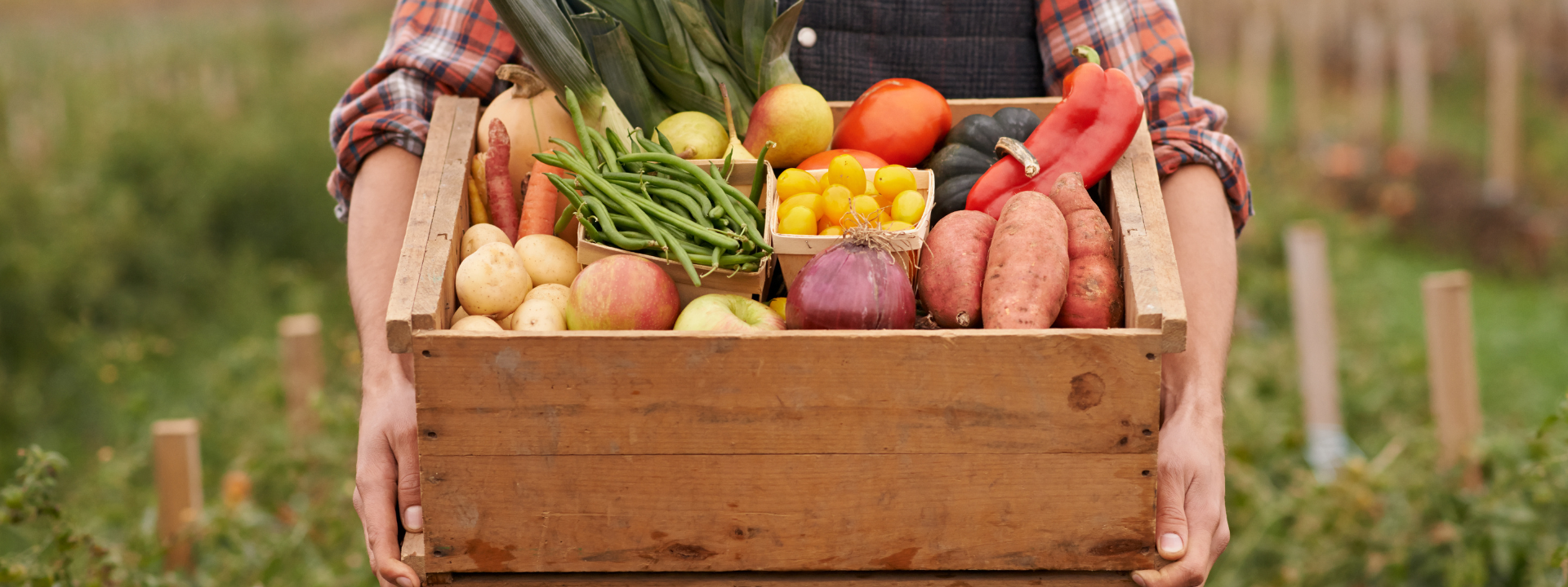 safe-feed-safe-food-certification