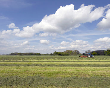 veld-maaien