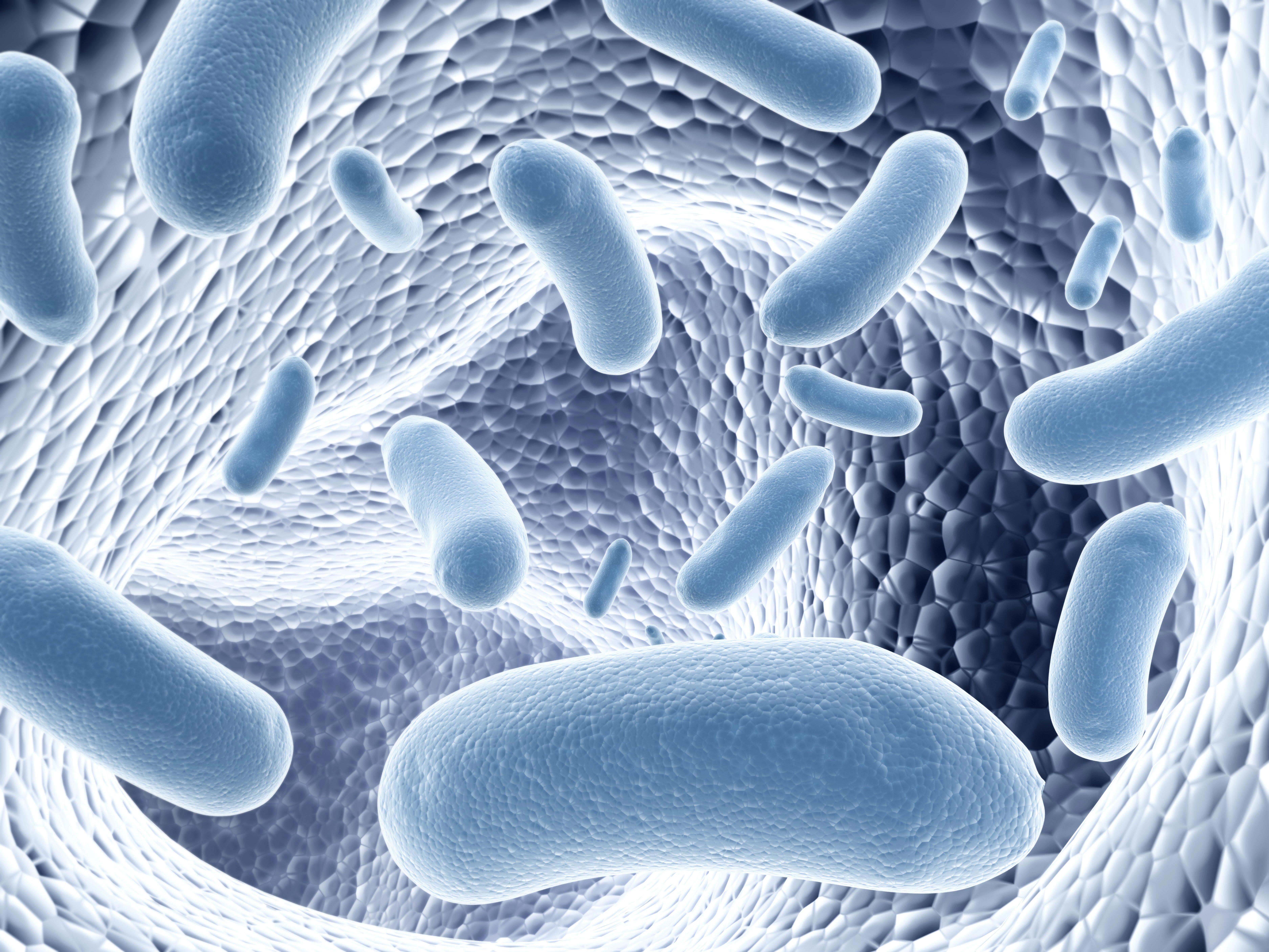 livebiotherapeutic_microbiome