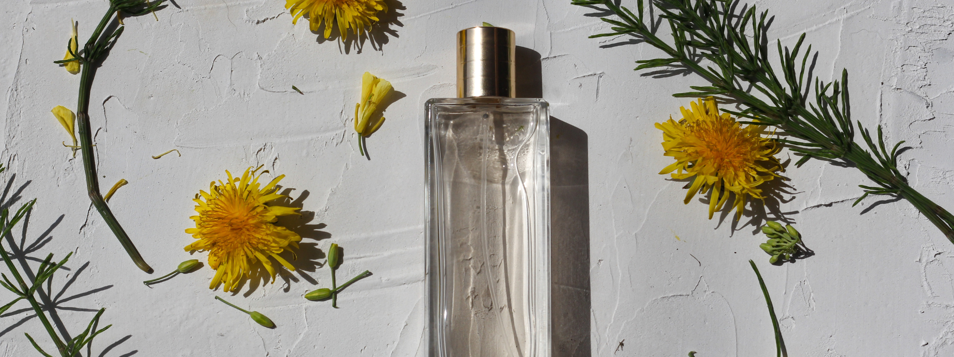 problemsolution-perfumes (1)
