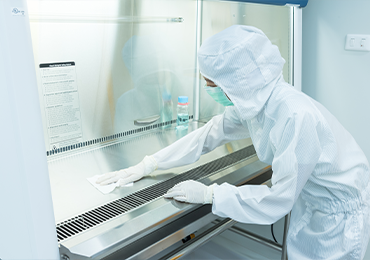 Technician performing sterile cleaning procedures inside a biological safety cabinet, in compliance with Annex 1 requirements for contamination control in cleanroom environments.