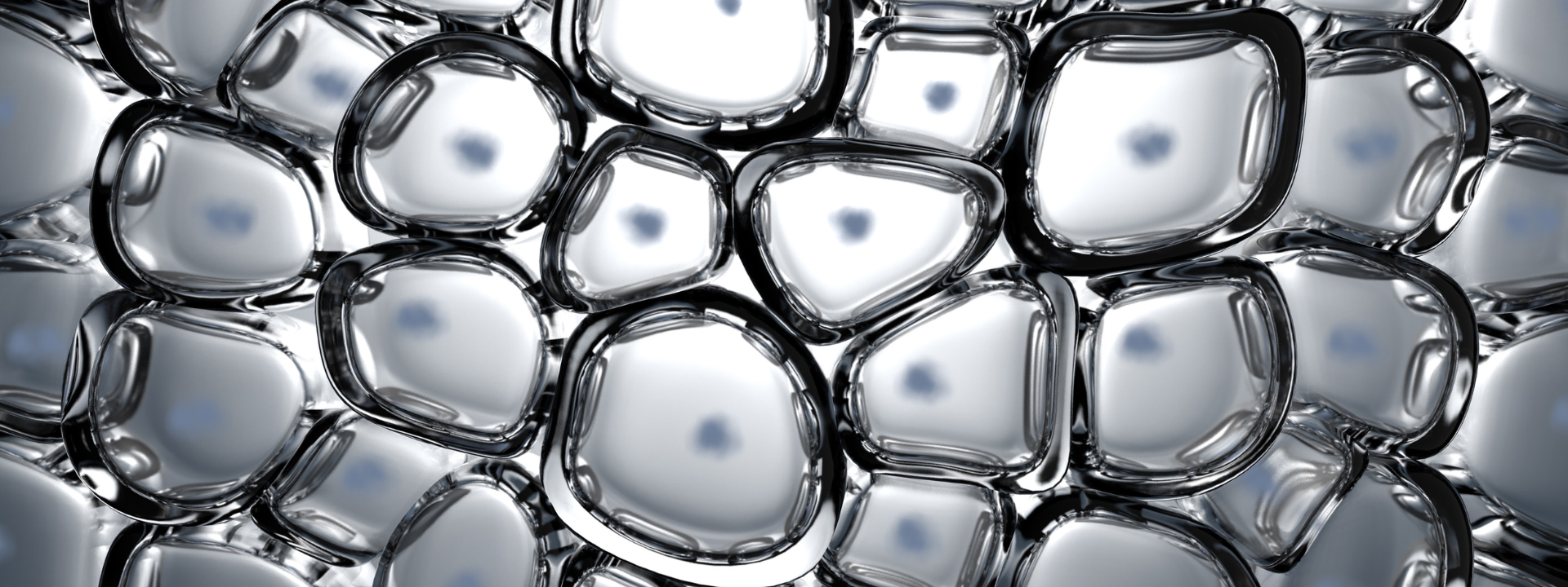 service-overview-in-vitro (1)