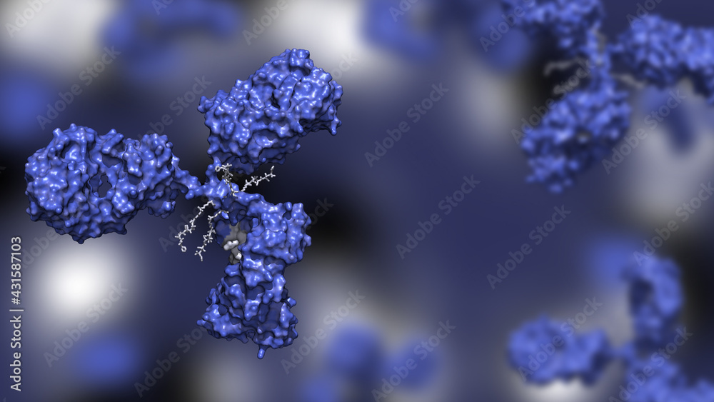 adobestock_431587103_preview