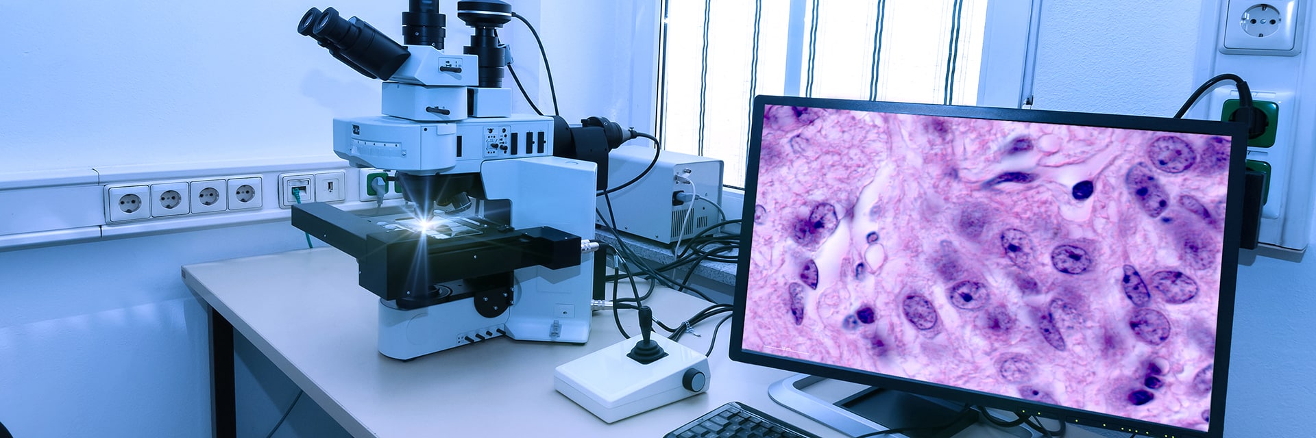 pathology-header