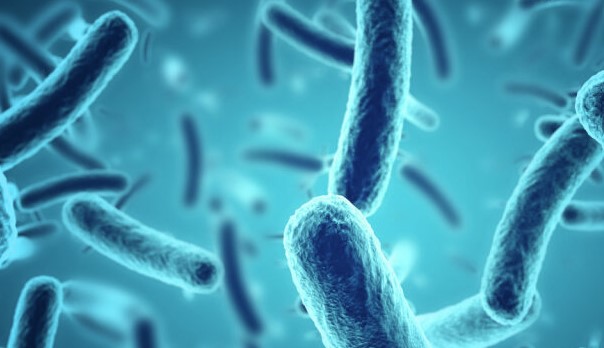 regc-microbial-support
