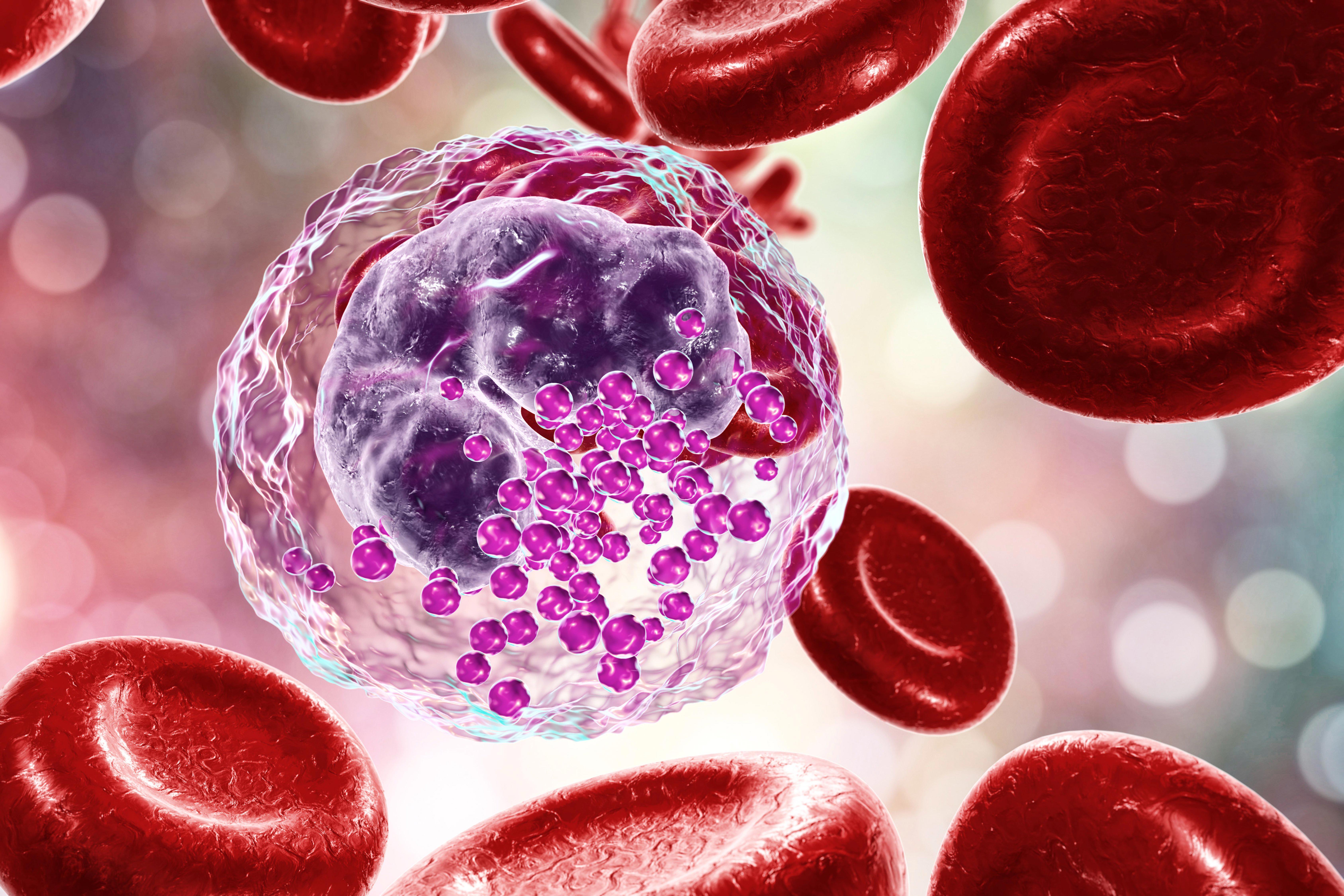 basophil-a-white-blood-cell-3d-illustration_6750-x-4500-px