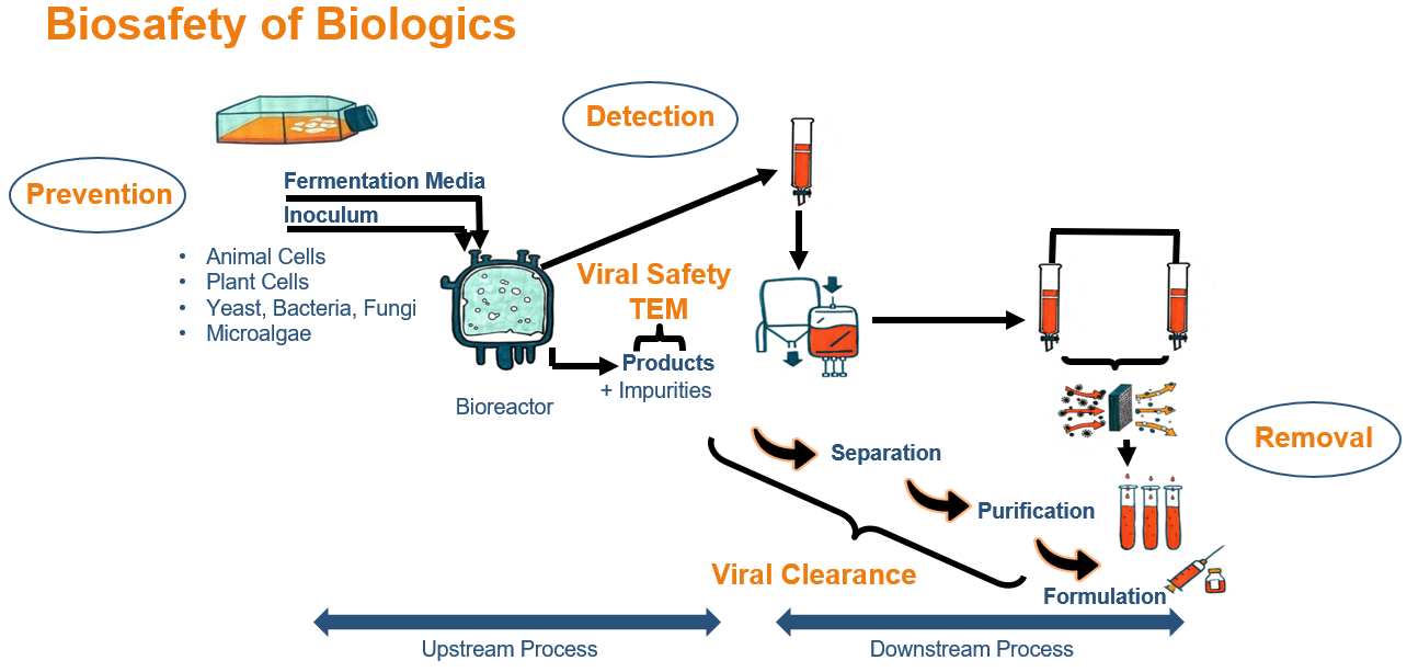 biosafety-pipeline