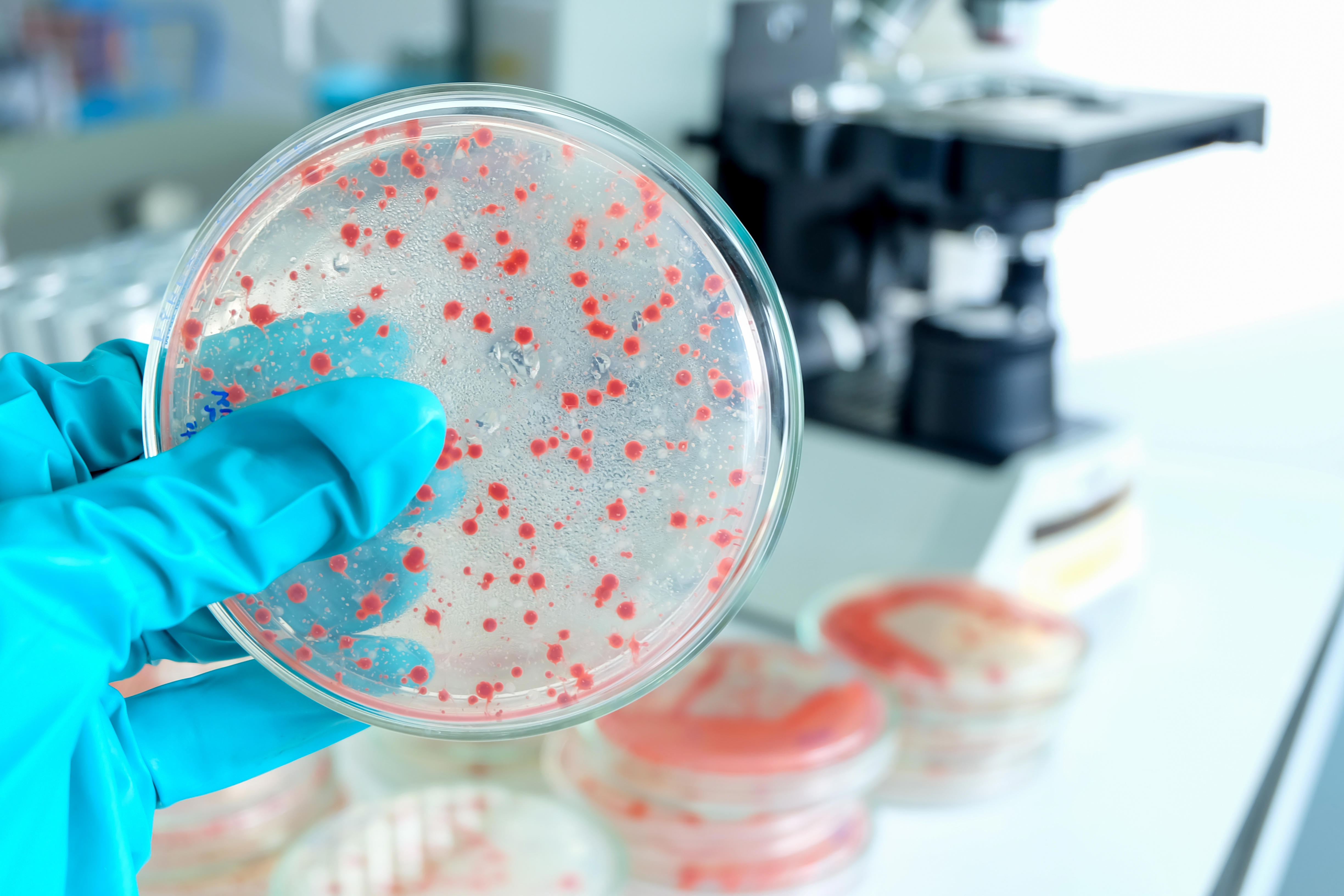 microbiology