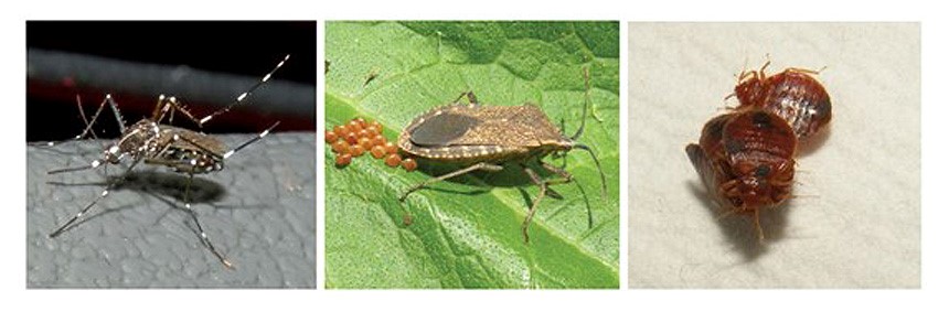 taxa-full-width-banner-1