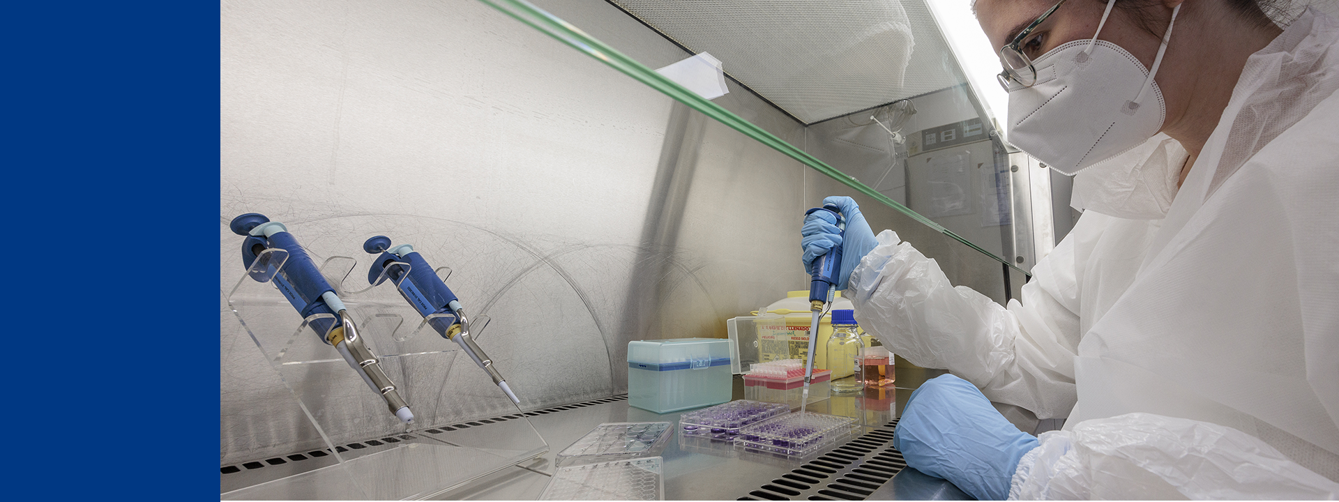 A laboratory technician wearing protective clothing, including a hairnet, mask, and gloves, is working under a fume hood. The technician is using a pipette to transfer liquid into a multi-well plate. Various lab equipment such as pipettes on stands and containers with different colored liquids are visible on the work surface.