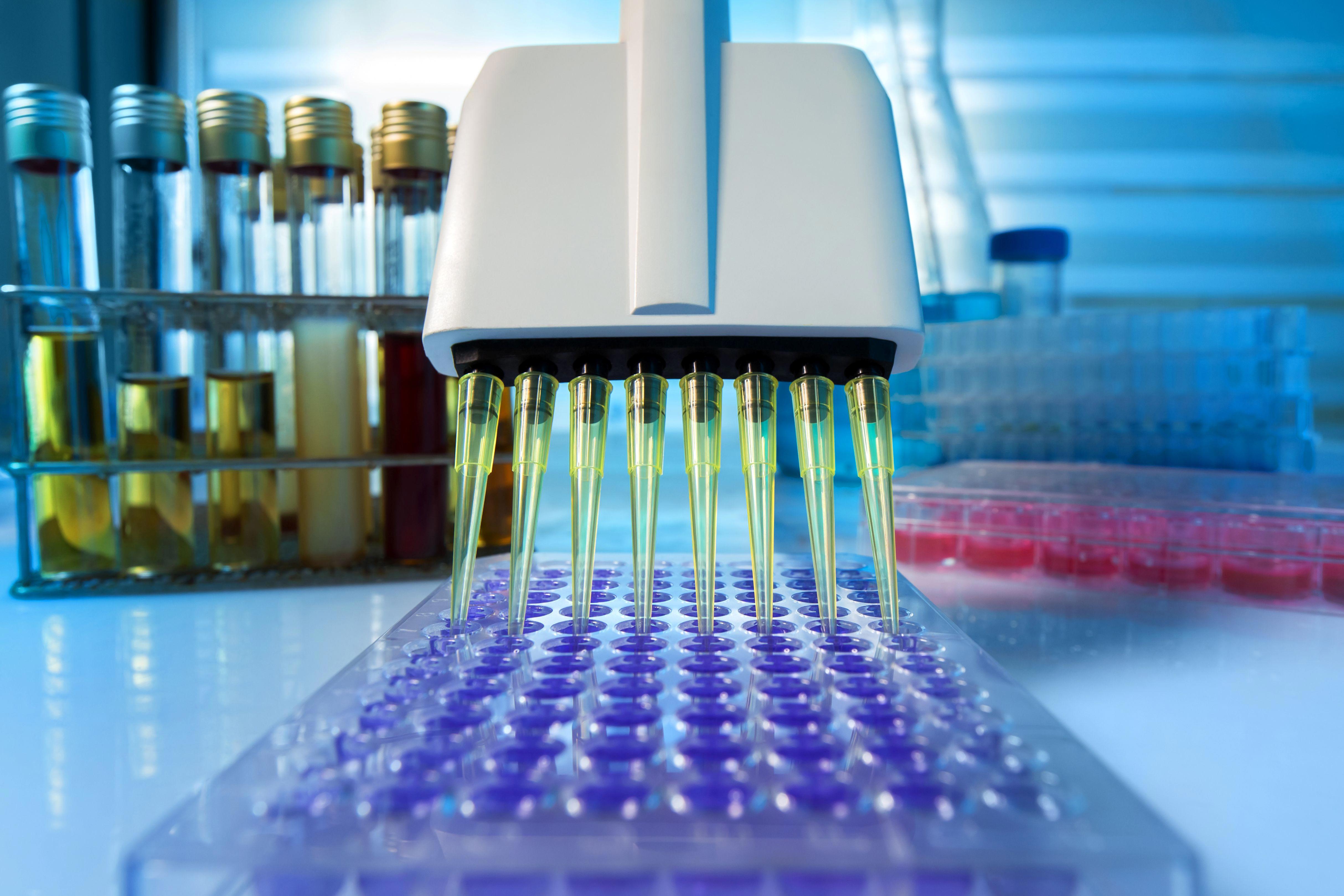 multi-channel-pipette-loading-biological-samples-in-microplate-for-test-in-the-laboratory-xl_8091x5394px