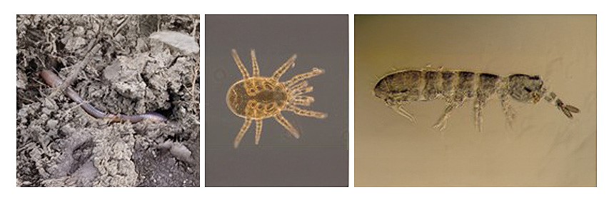 taxa-full-width-banner-2
