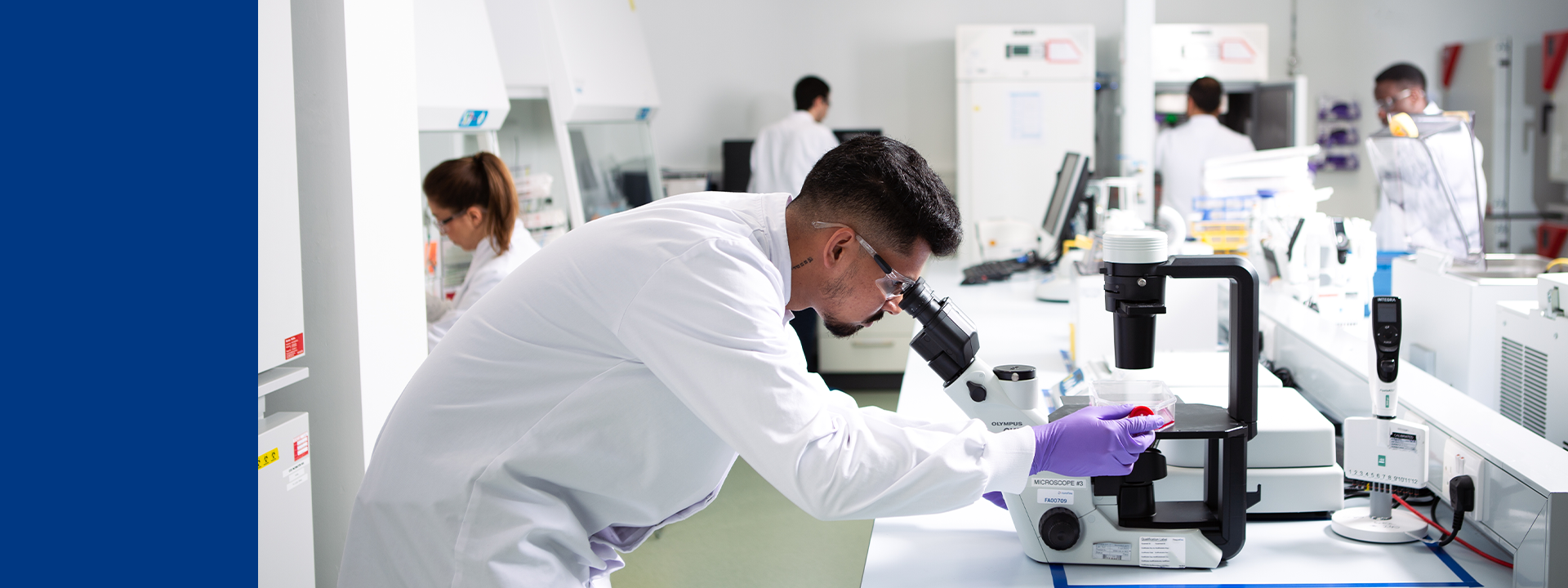 A scientist in a white lab coat and purple gloves examines a sample in a petri dish using an Olympus microscope in a clean, well-lit laboratory. Other researchers work in the background, surrounded by lab equipment and storage units, illustrating the controlled environment used for Extractables & Leachables testing on single-use systems at Eurofins BioPharma Product Testing.