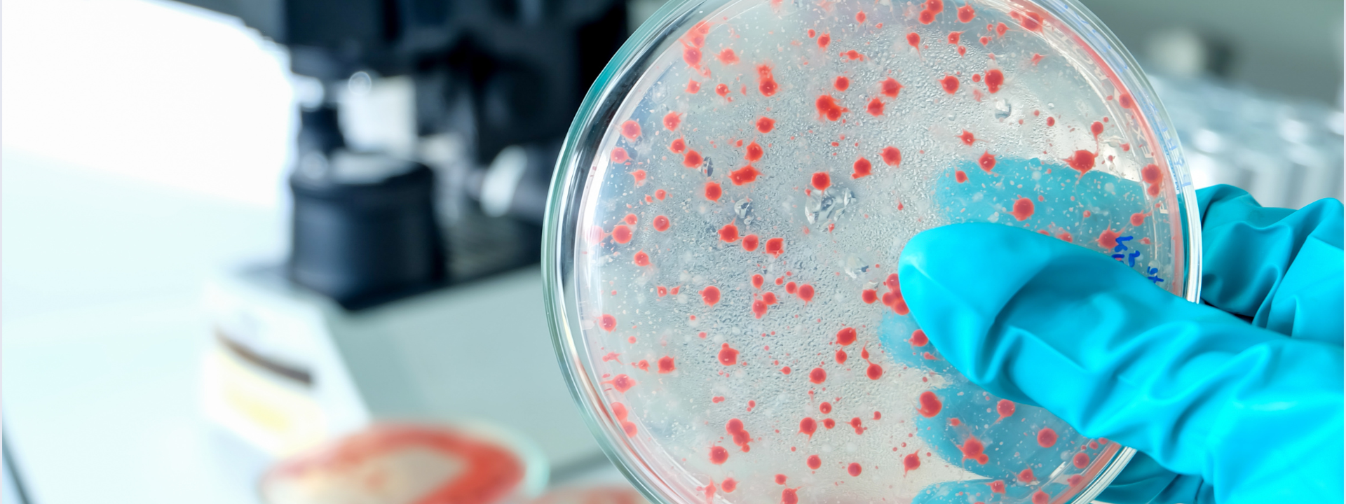 banner-website-microbiology