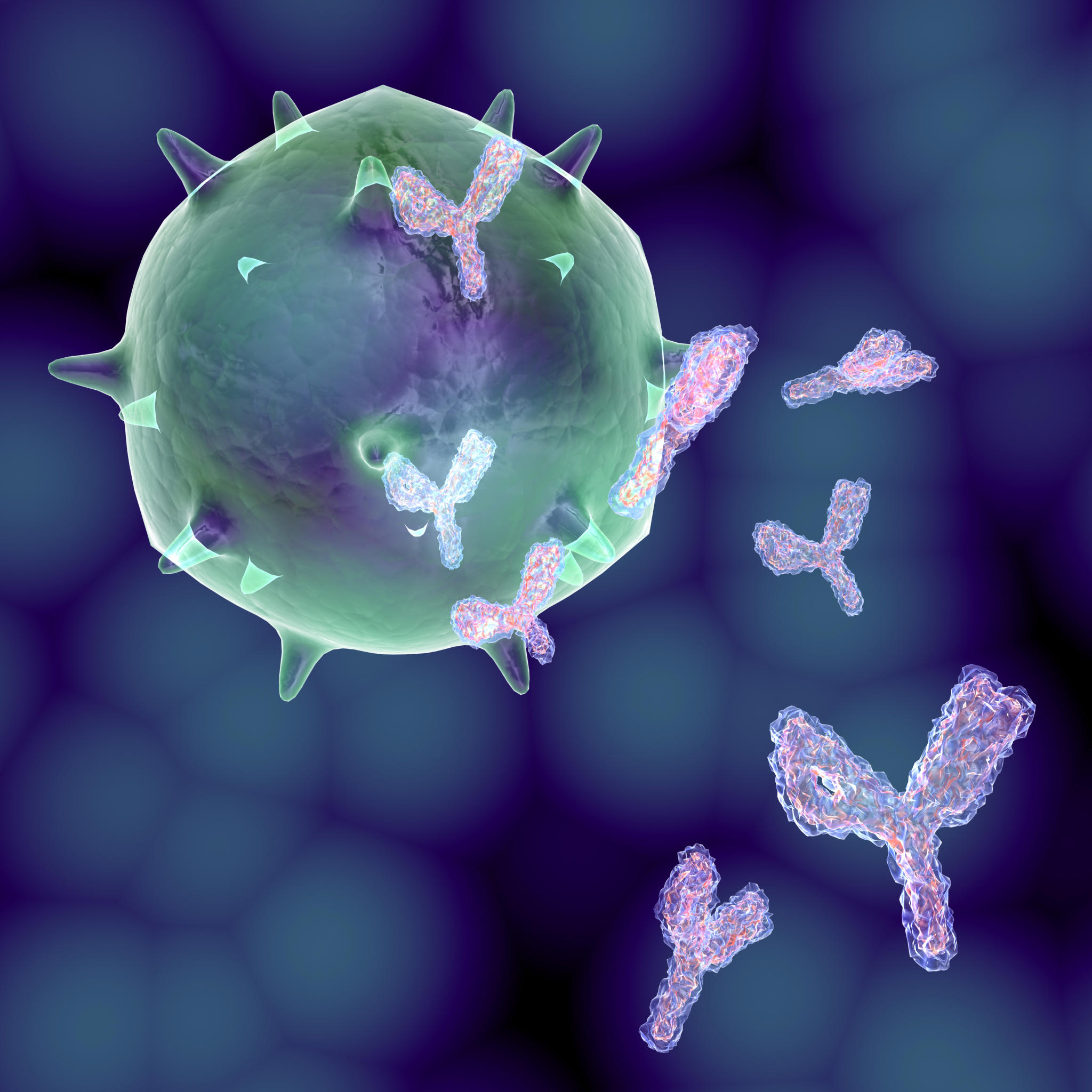 antibodies_2048x2048px