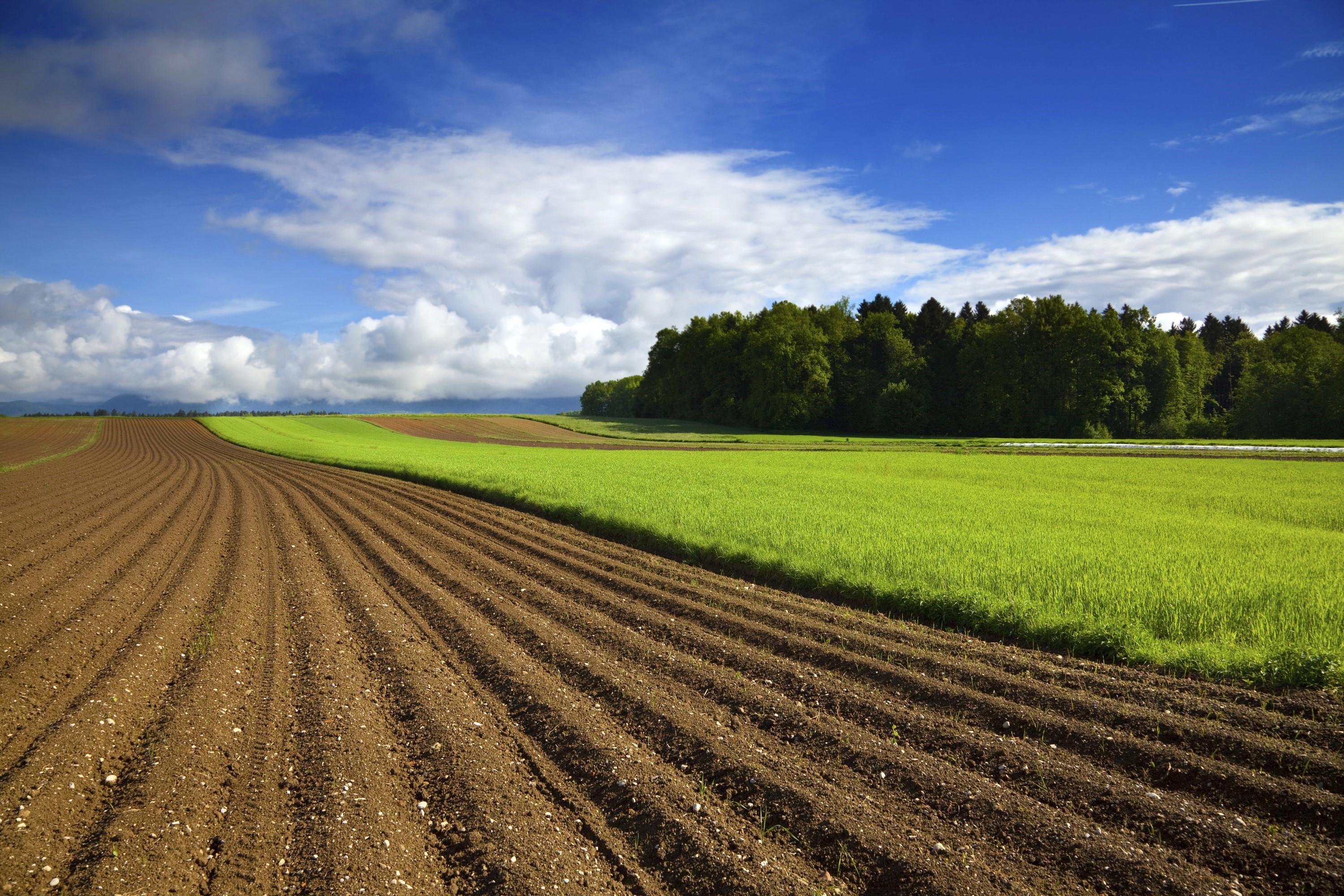 crop-protection-field