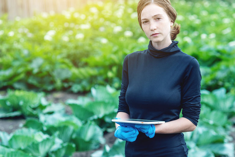 services-seeds-2