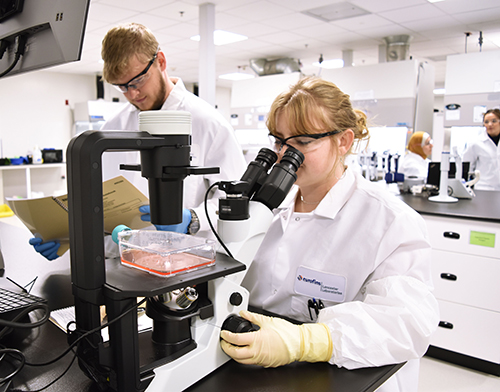 cell-gene-therapy