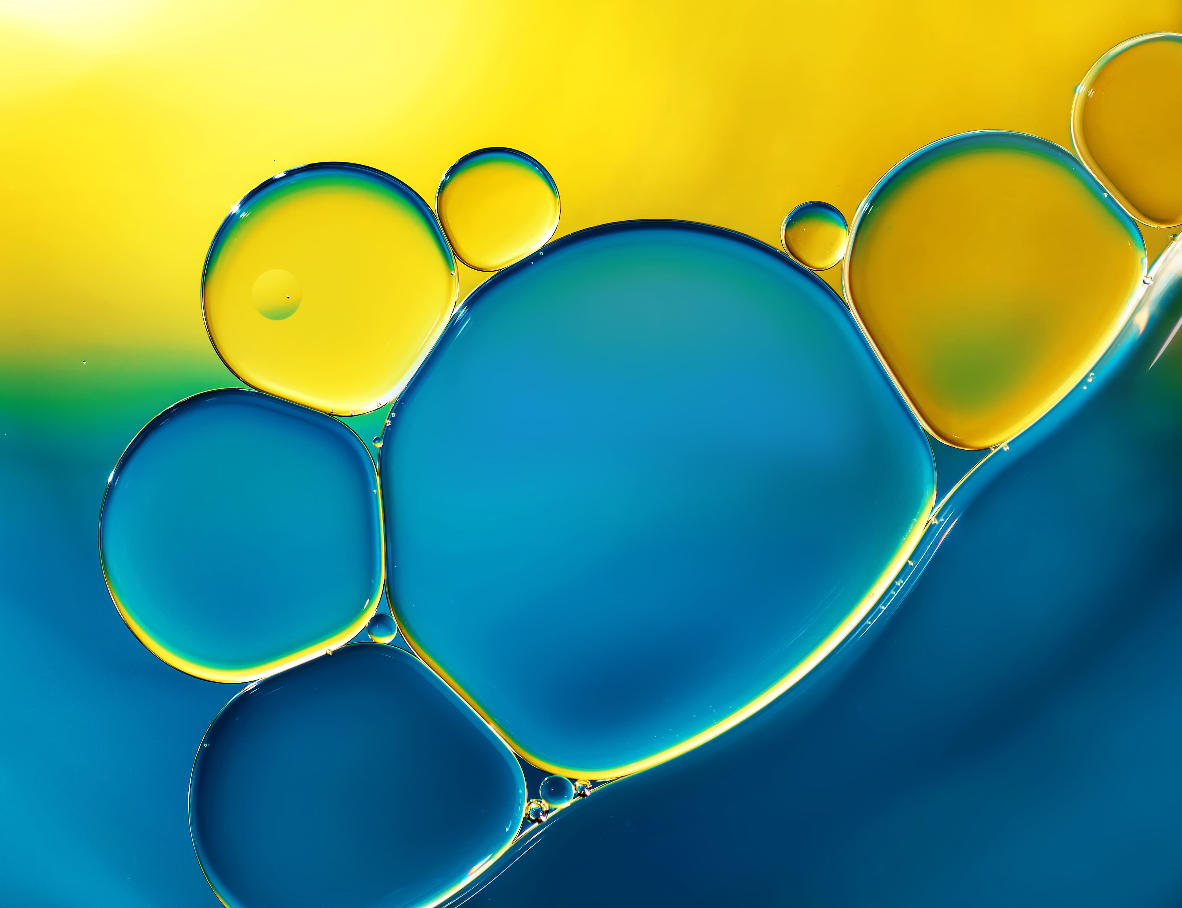 adobestock_91189095-1