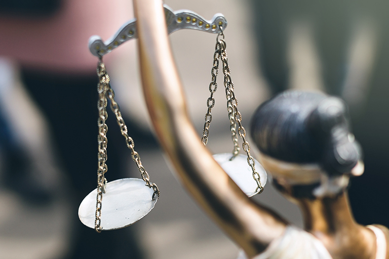 LITIGATION SUPPORT