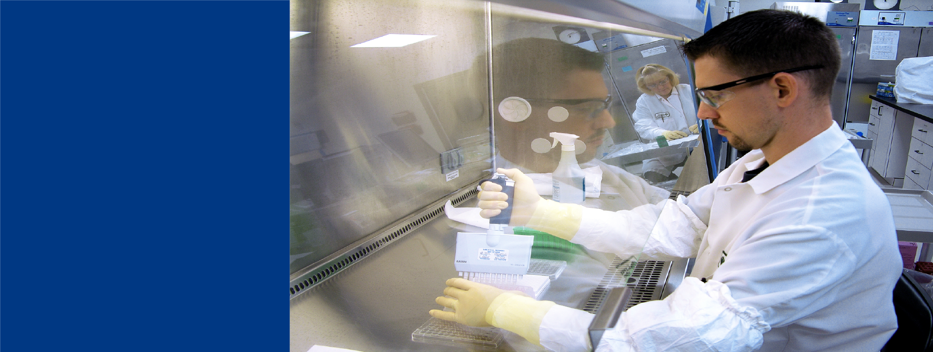 Scientist in lab coat and gloves conducting a cell-based bioassay in a laboratory. Person is using a pipette to transfer liquid into a multi-well plate inside a biosafety cabinet.