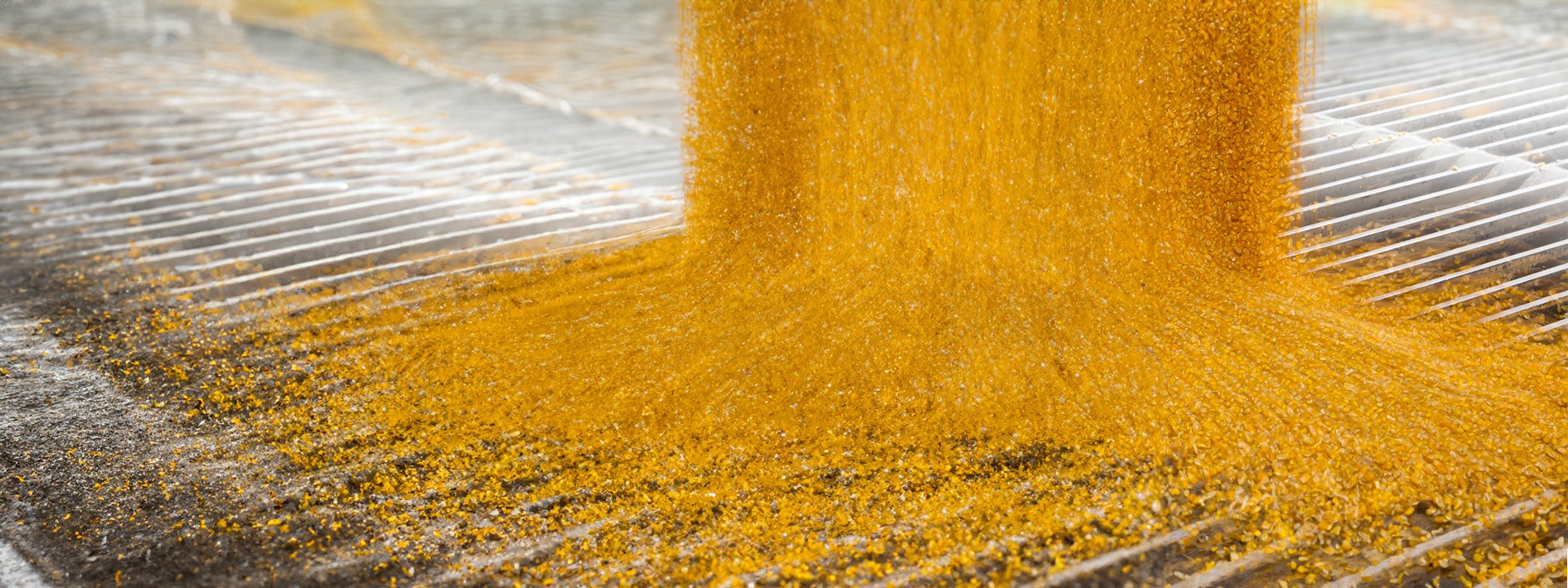 seed-processing