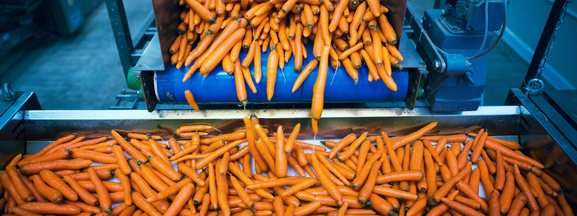 haccp