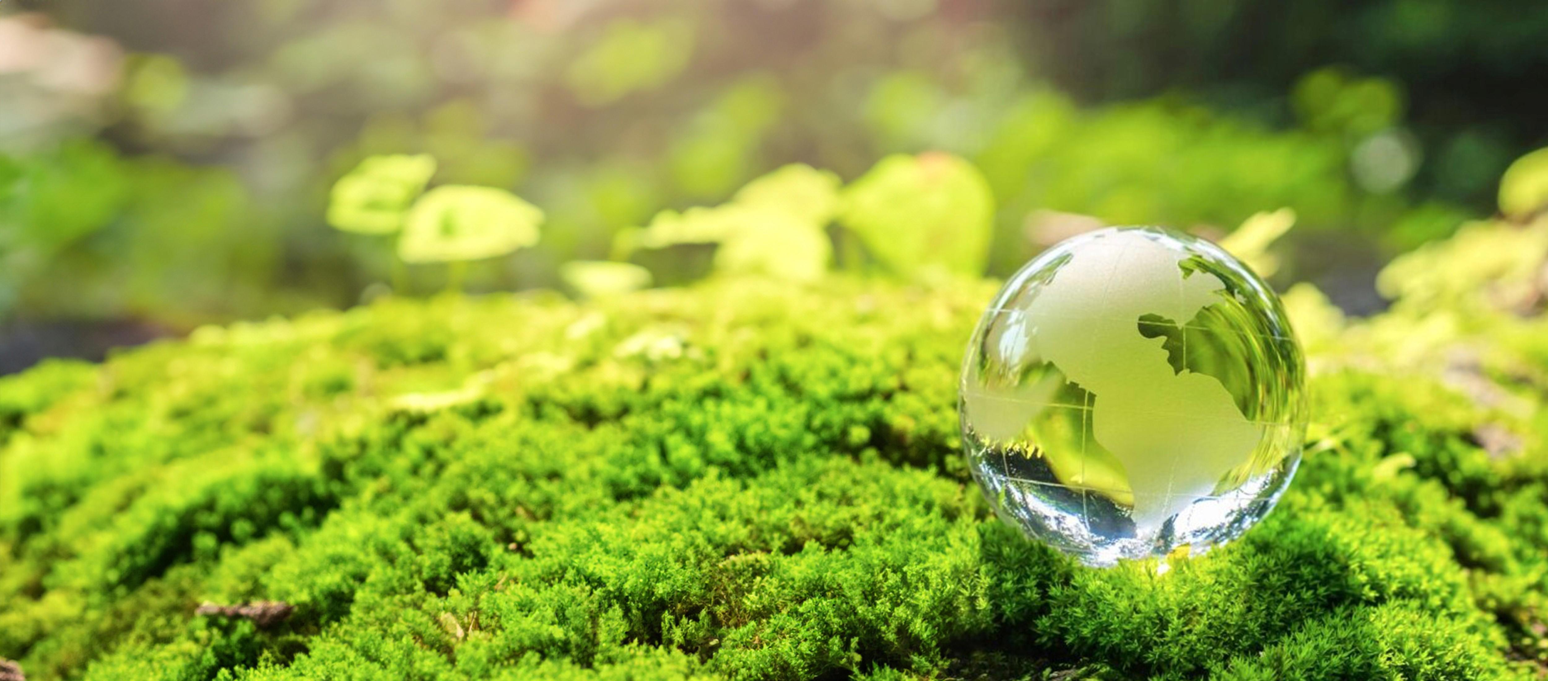 globe-on-leaf-new-2