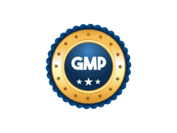 gmp-icon