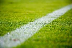 sportveld-gras