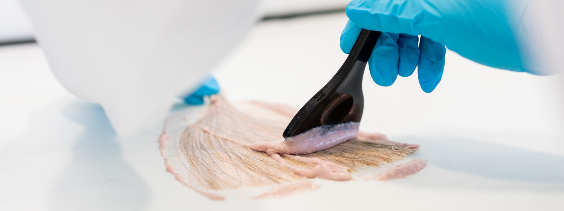 problemsolution-hair-care (1)