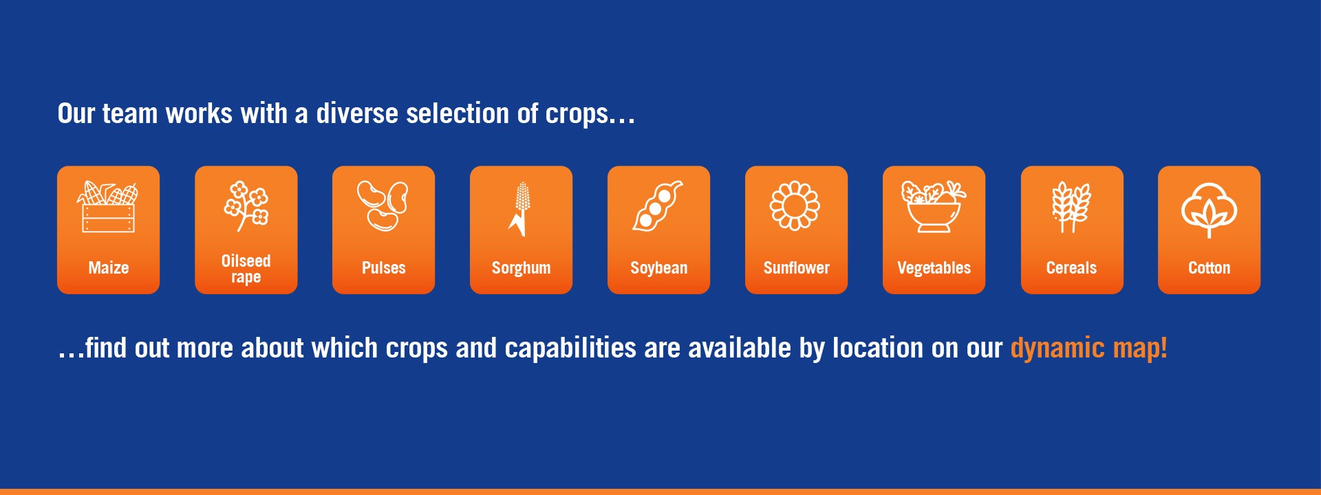 crops-and-solutions-banner-final