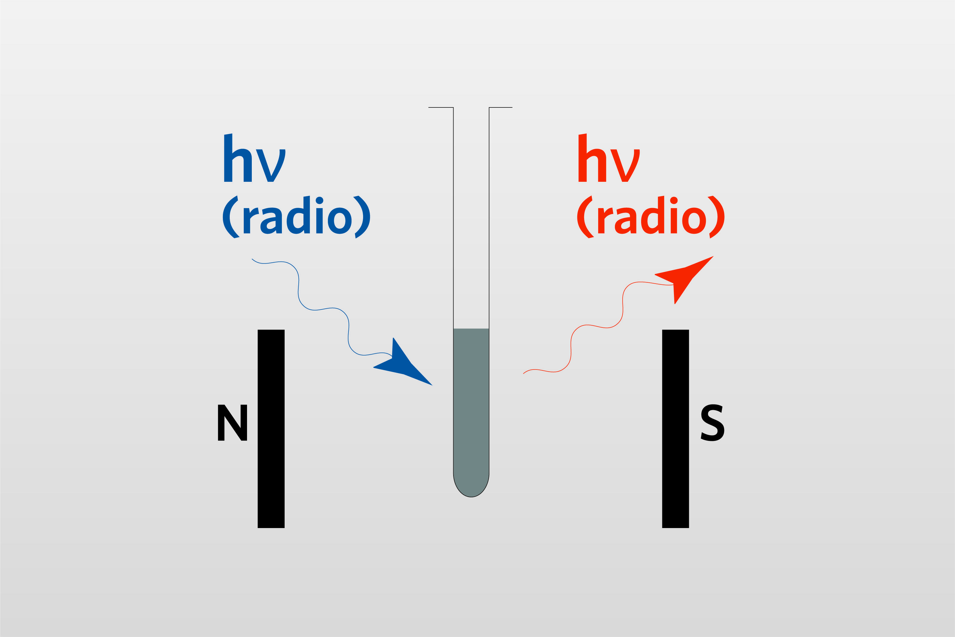 NMR