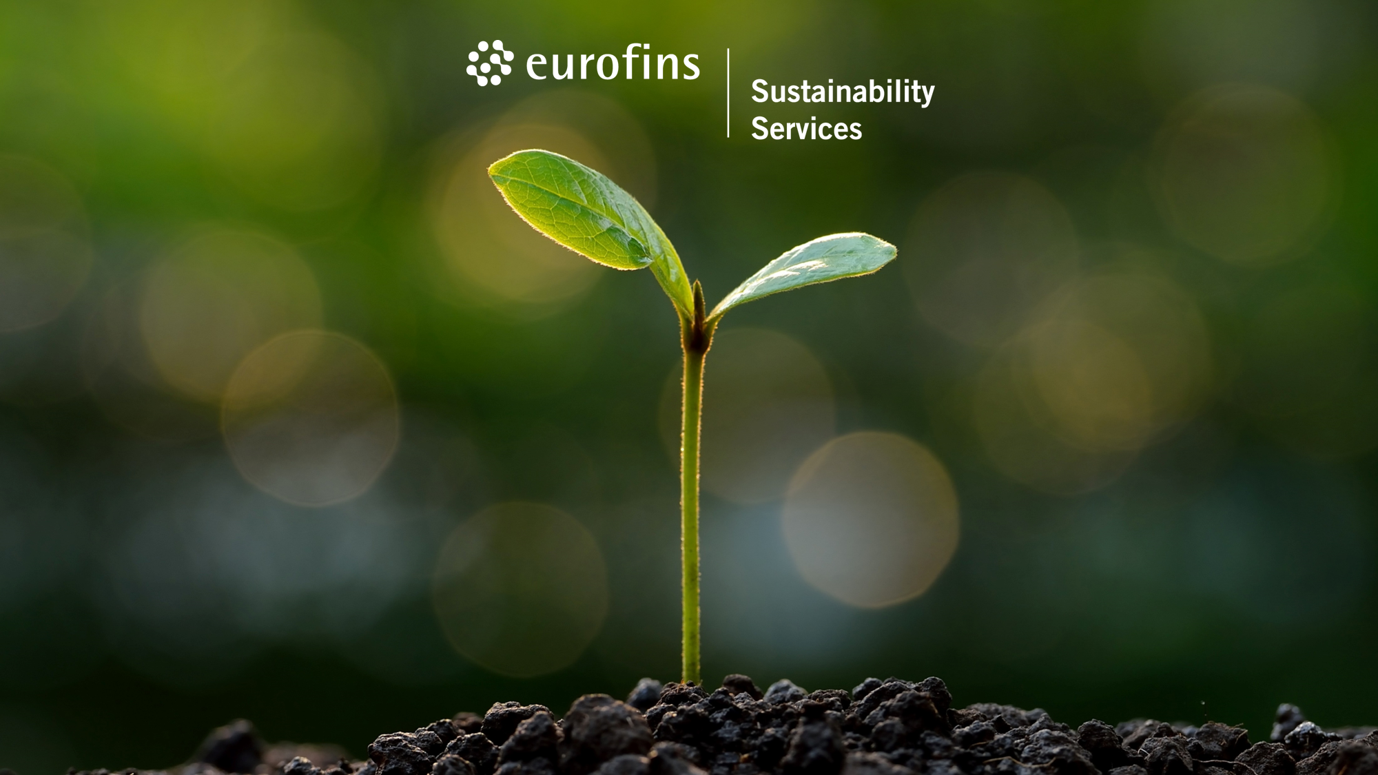 A small green seedling with two leaves emerging from dark, rich soil. The background is blurred with shades of green, suggesting a natural outdoor setting. The image captures the early stages of plant growth and symbolises new beginnings or growth.
