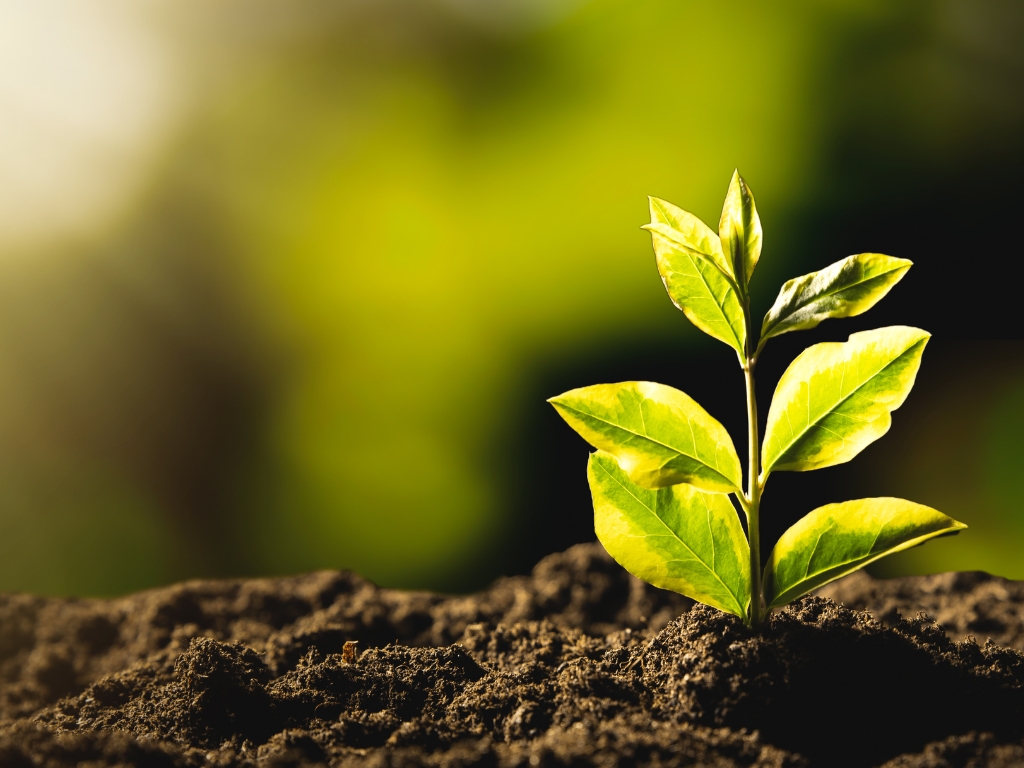sustainability