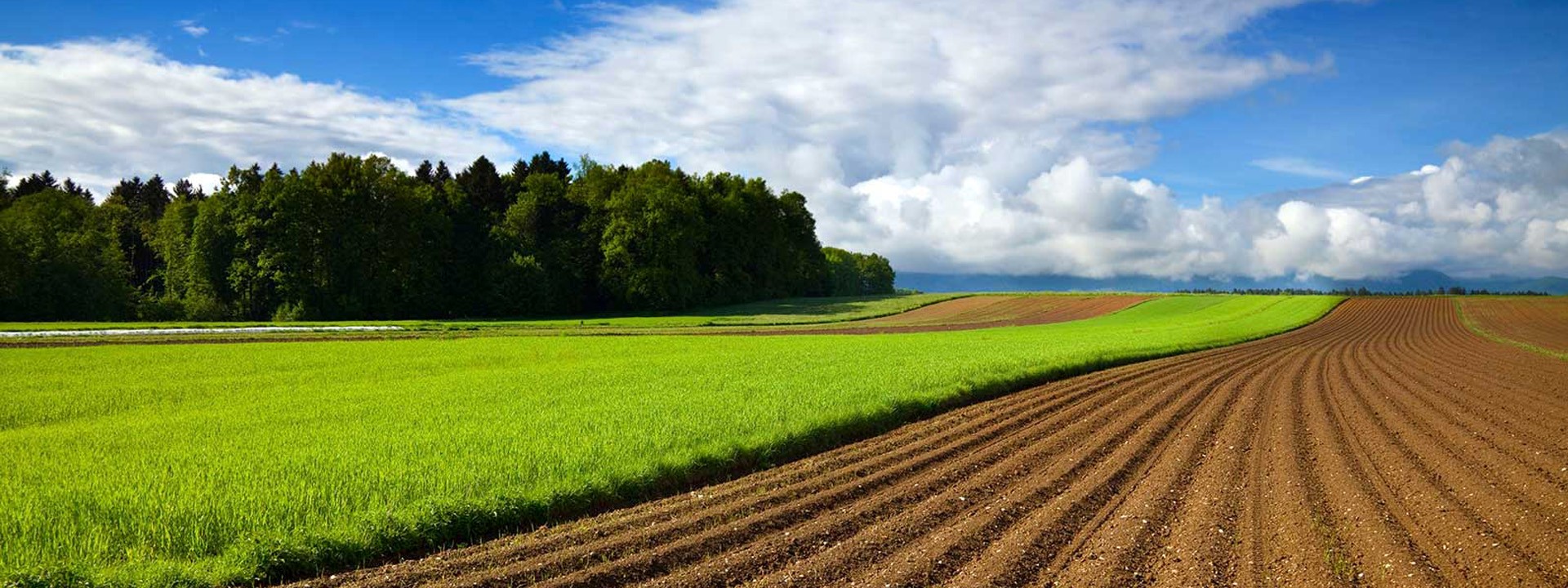 field-management-header