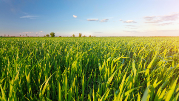 agroscience-services_6189-x-3481-px