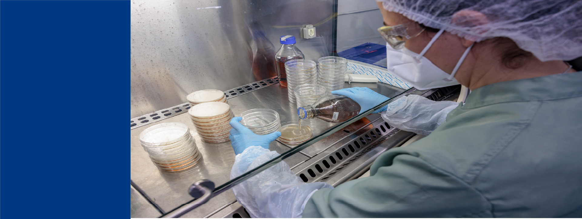 Scientist in a lab coat performing bioburden testing in a cabinet, carefully pouring medium into petri dishes