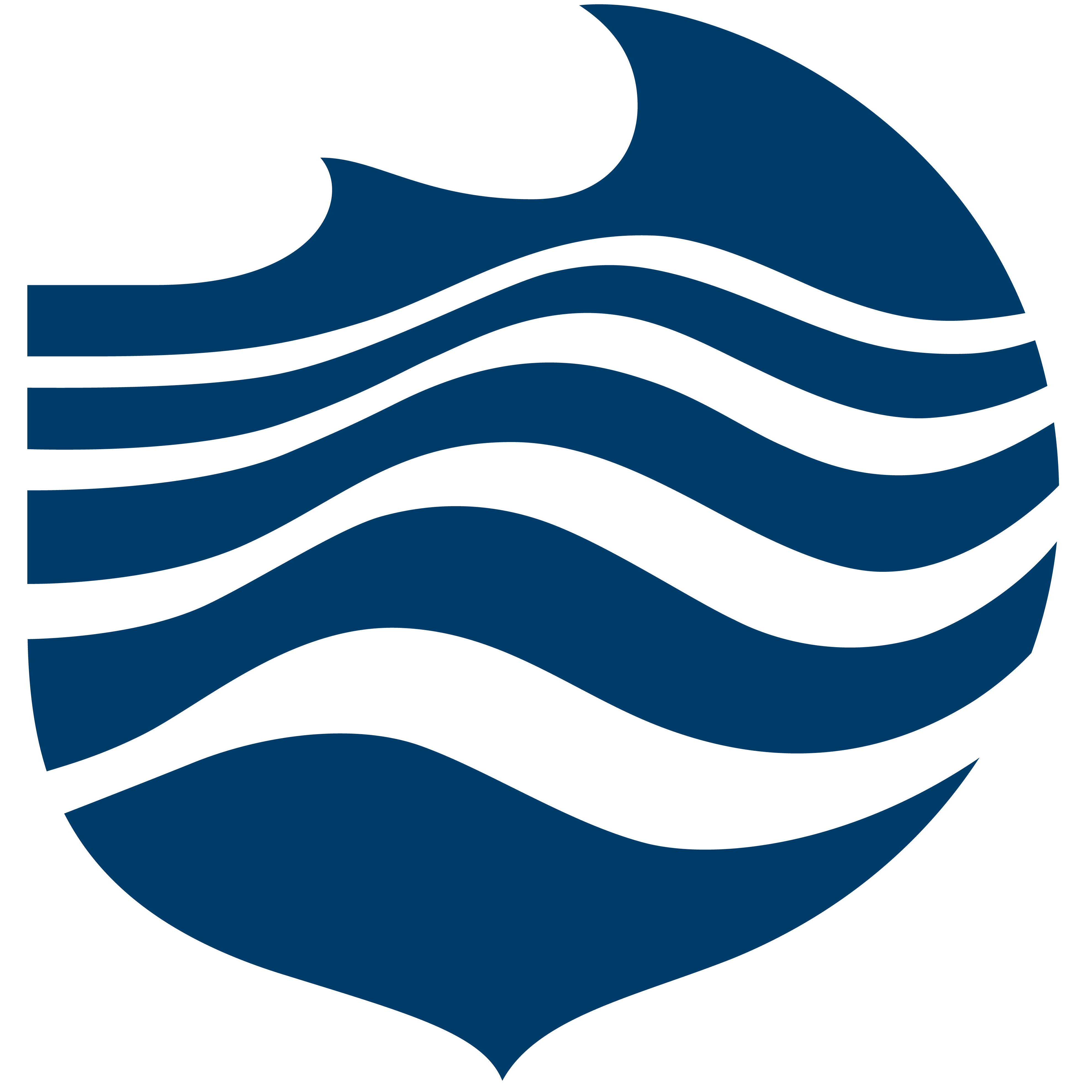 blue-marine-logo-rgb (1)